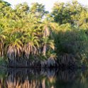 BWA NW OkavangoDelta 2016DEC01 Nguma 052 : 2016, 2016 - African Adventures, Africa, Botswana, Date, December, Month, Ngamiland, Nguma, Northwest, Okavango Delta, Places, Southern, Trips, Year